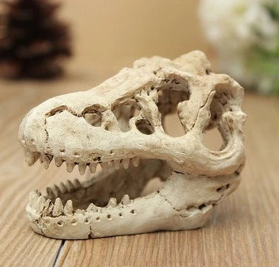 Dinosaur Fossil Model Fish Tank Aquarium Artificial Decoration Landscaping Ornaments Horror Props Art Deco Handicrafts Ornaments Peaceful Pleasures Health and Wellness 01