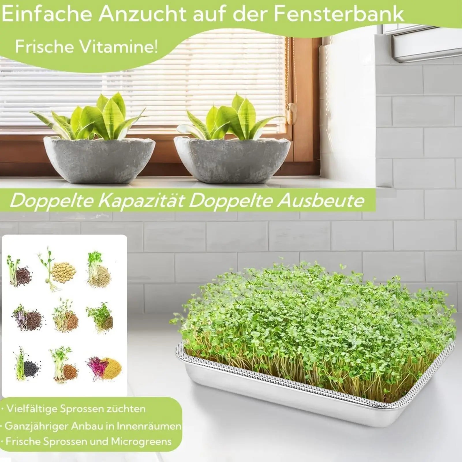 304 Stainless Steel Sprouting Tray & Sieve for Hydroponics Sprouting Germination Tray Peaceful Pleasures Health and Wellness