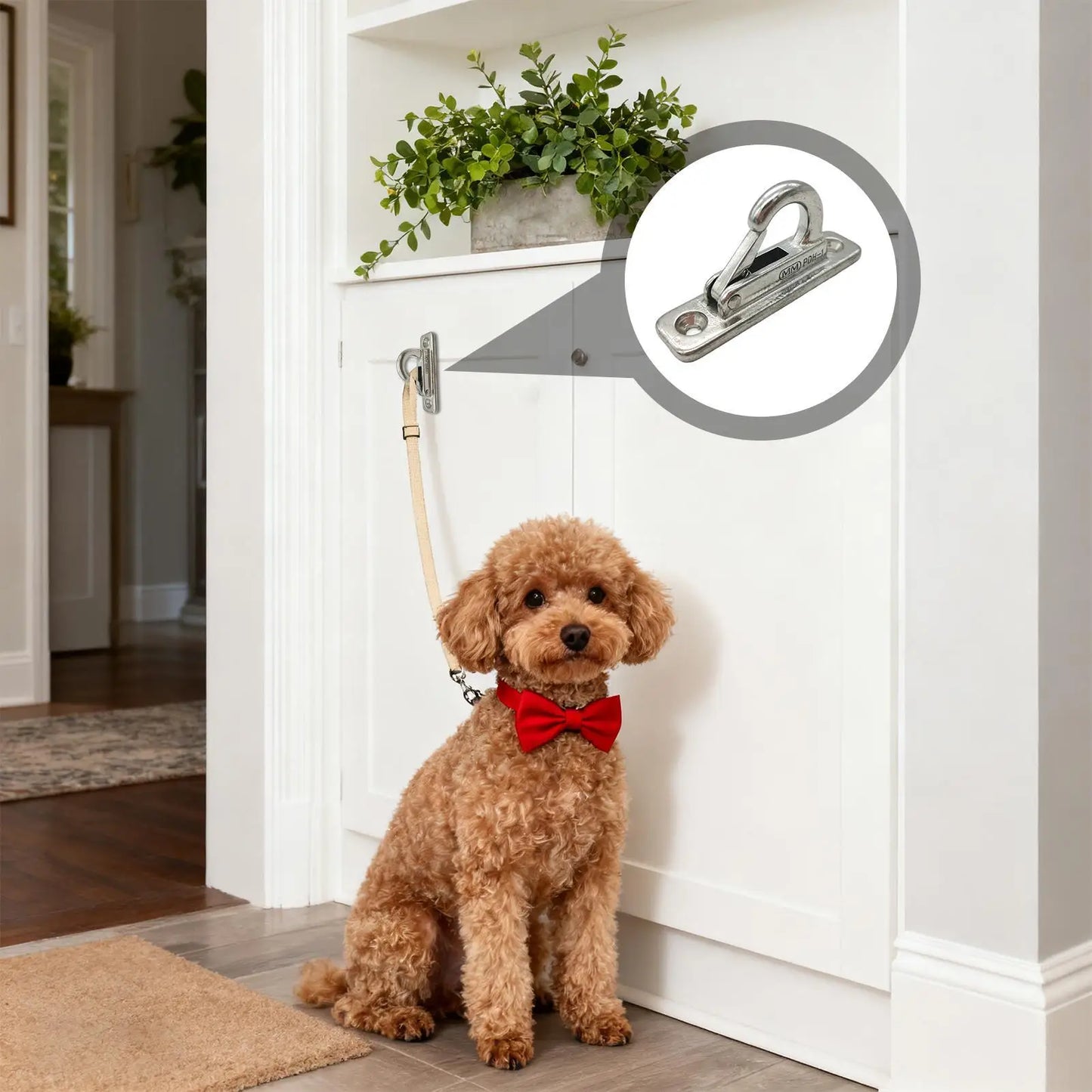 Stainless Steel Dog Leash Wall Hook & Parking Holder
