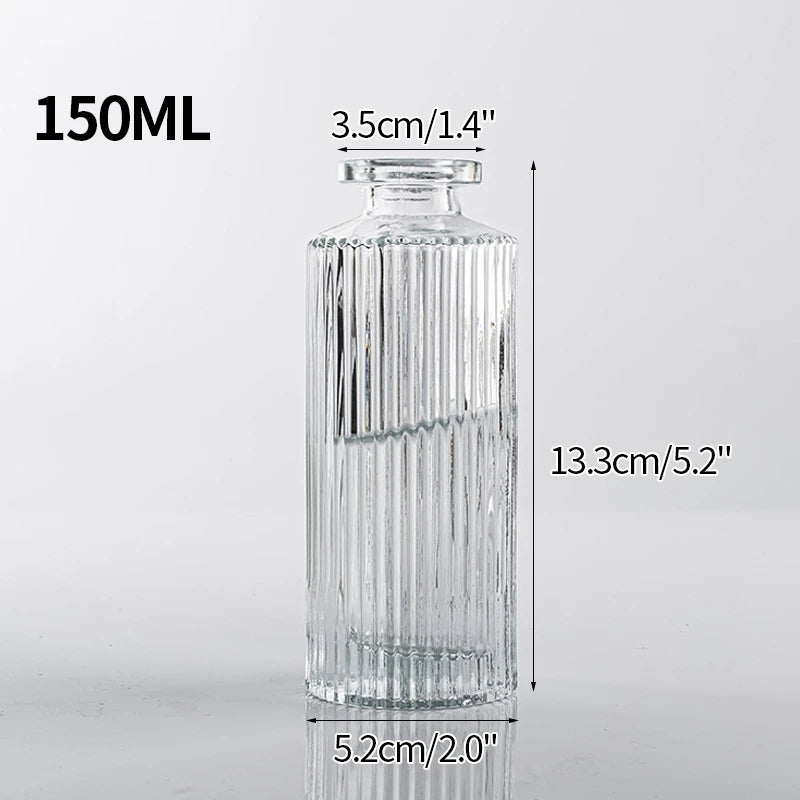 Vintage Transparent Glass Vase | Flower Bottle & Plant Pot
