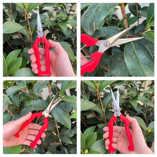 Stainless Steel Fruit Picking Pruning Shears | Garden Scissors Pruning Shears Peaceful Pleasures Health and Wellness