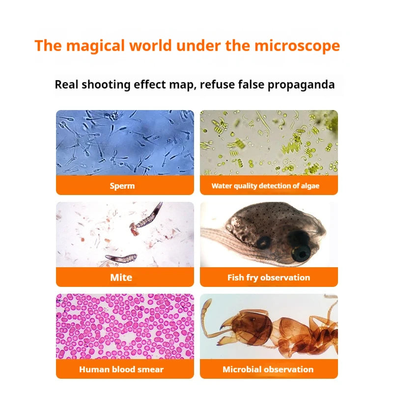 High Magnification Constant Temperature Heating Biological Microscope for Professional Aquaculture To Observe Sperm, Eggs Peaceful Pleasures Health and Wellness
