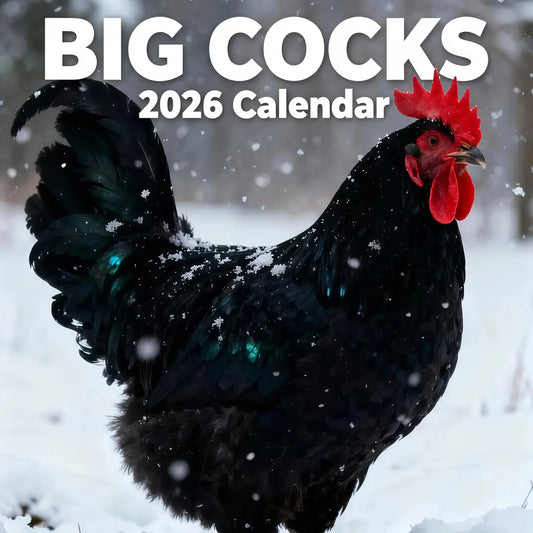 2026 Year Fun Rooster Calendar, Thick Spiral Bound Edition, Perfect for Daily Planning & Organizing, High-Quality Paper Material Peaceful Pleasures Health and Wellness black