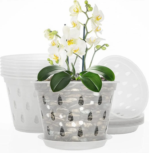 Transparent Orchid Pot with Drainage Holes & Tray | Phalaenopsis Orchid Planter Pot Oasis Select