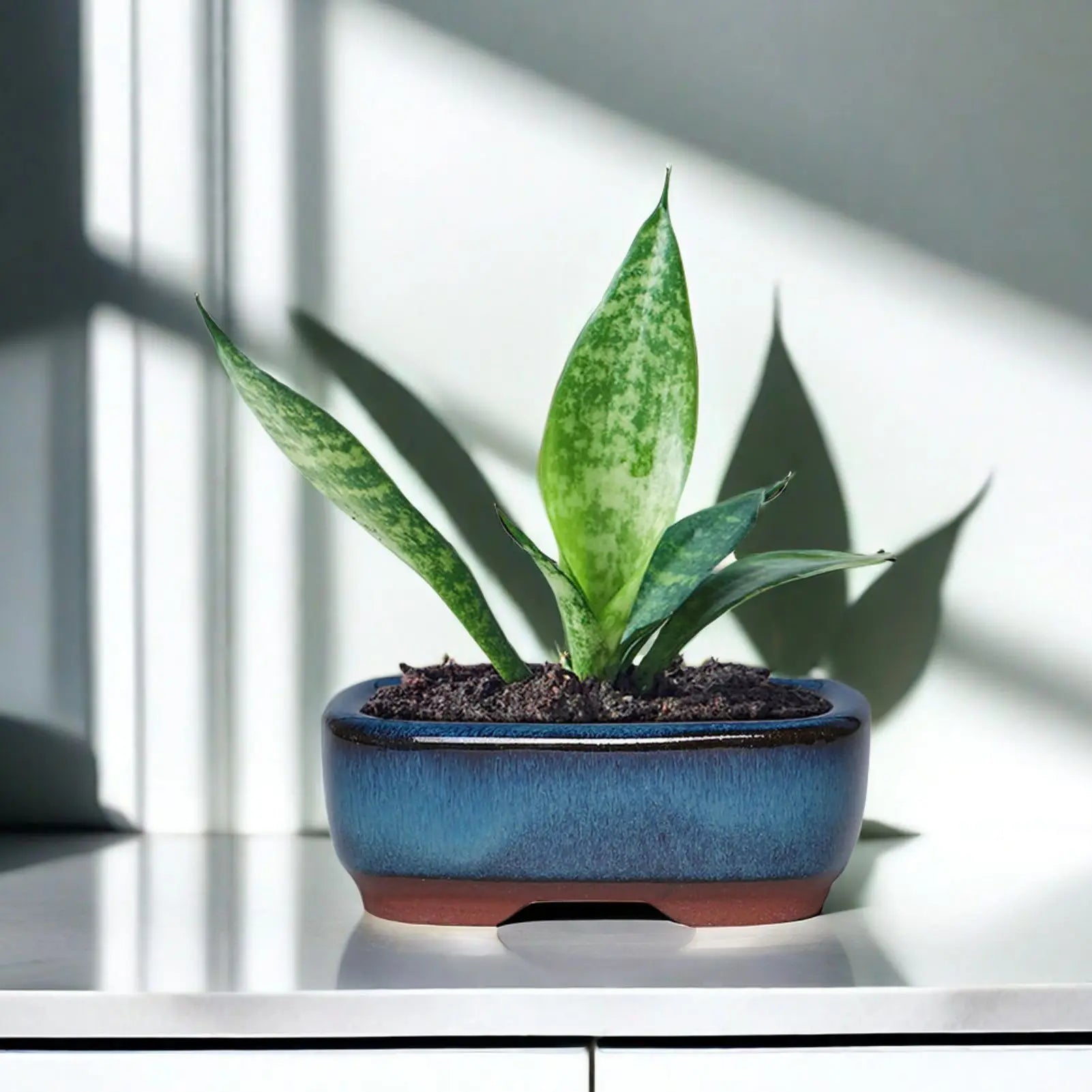 Ceramic Flower Pots with Drain Hole with Vent Design Easy to for Indoor and Outdoor Plants Peaceful Pleasures Health and Wellness