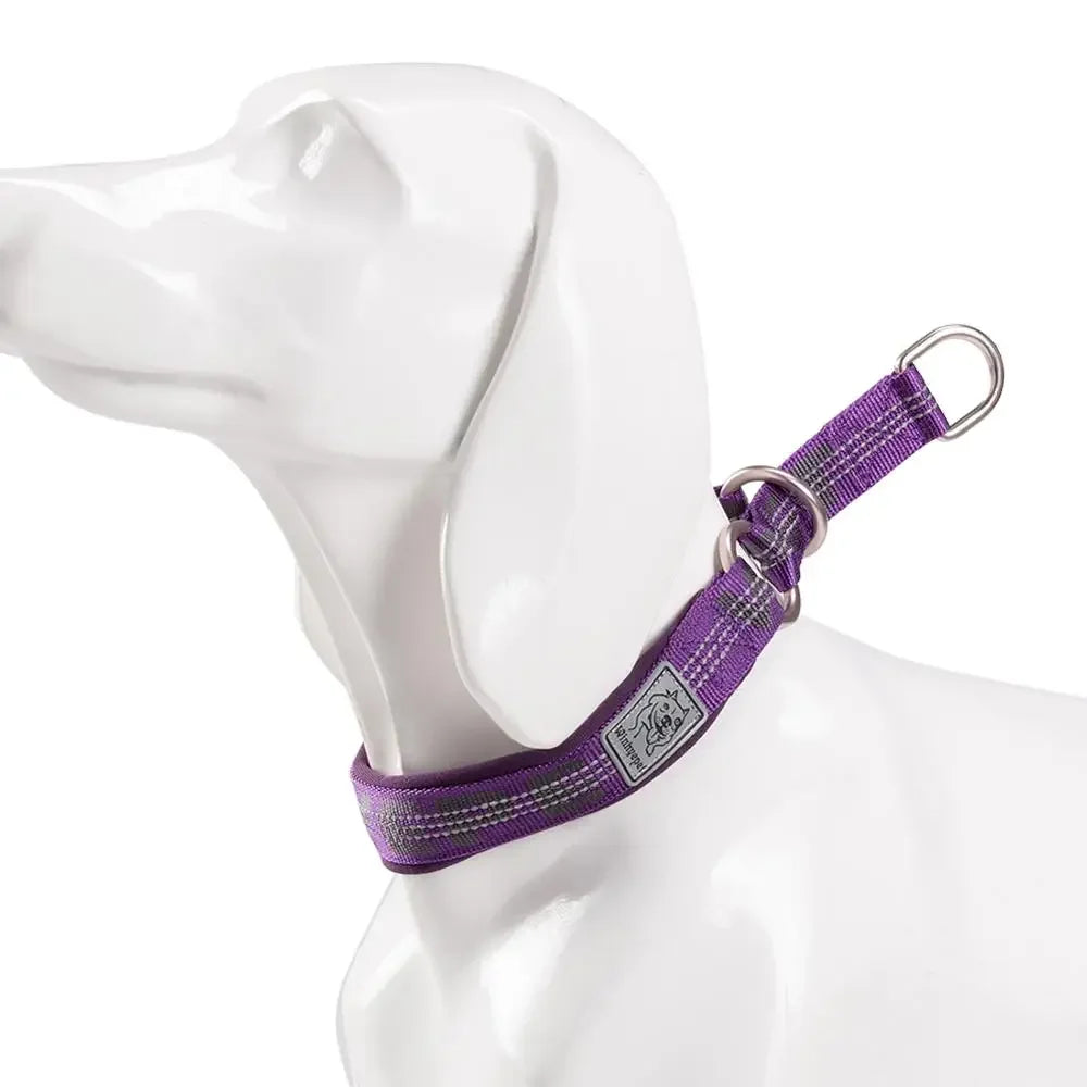 TRUELOVE P chain Pet Reflective Collar Nylon Best Neoprene Padded Half Choke Training Lightweight Washable Sports YC1852 Peaceful Pleasures Health and Wellness