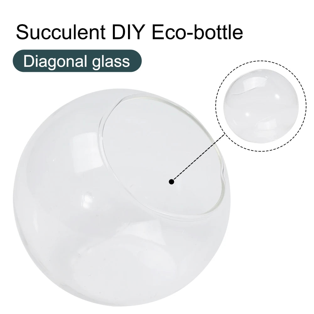 Terrarium Container Micro Landscapes Elegant Design Open Mouth Ideal