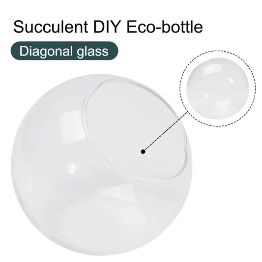 Terrarium Container Micro Landscapes Elegant Design Open Mouth Ideal Peaceful Pleasures Health and Wellness