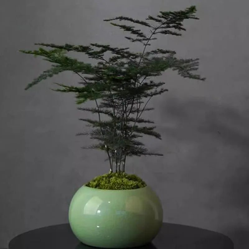 Chinese Ceramic Bonsai Vase | Glazed Porcelain Flower Pot 10×6cm