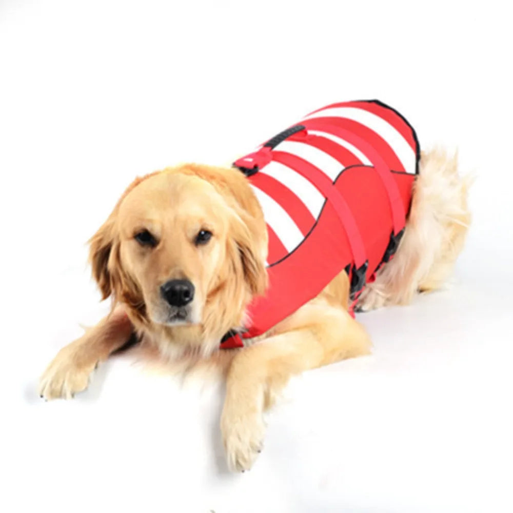 Reflective Dog Life Jacket | Adjustable Buoyancy Swim Vest