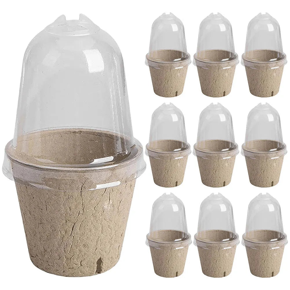 10Pcs Seedling Cup Seedling Pot Transparent Lid Greenhouse Breeding Box Biodegradable Plant Growing Cup Versatile for Gardening Peaceful Pleasures Health and Wellness 6cm with Holes
