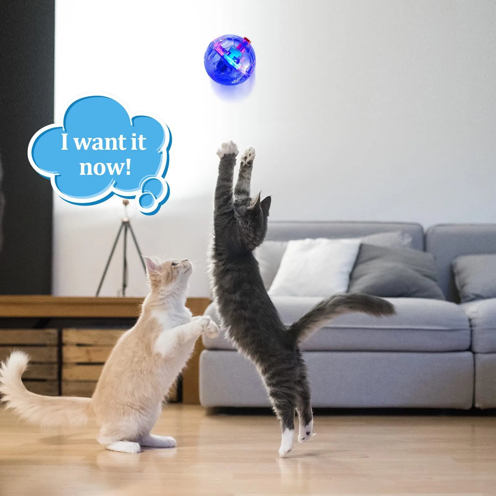 3Pcs Cat Motion Light Up Interactive Flash Ball Ghost Small Battery Powered Paranormal Equipment Portable LED Gift Pet Toys Peaceful Pleasures Health and Wellness