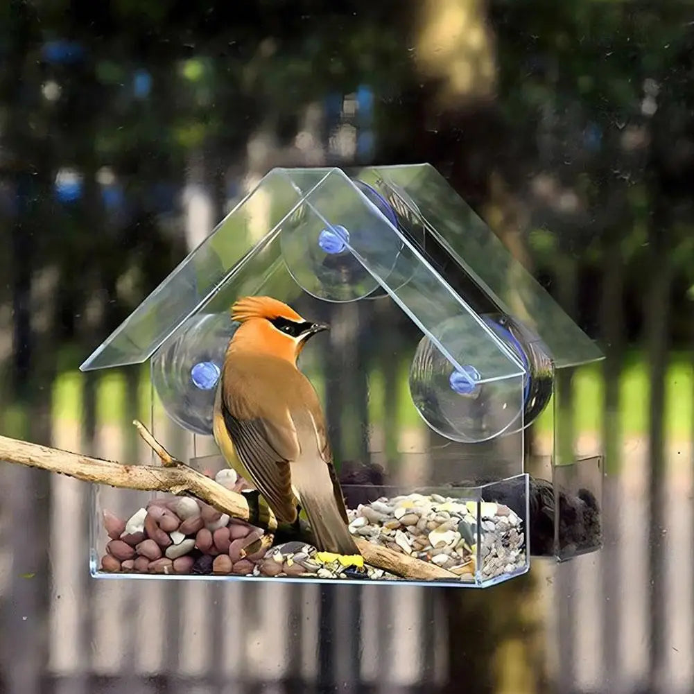 Acrylic Bird Feeder with Suction Cup for Wildlife Peaceful Pleasures Health and Wellness