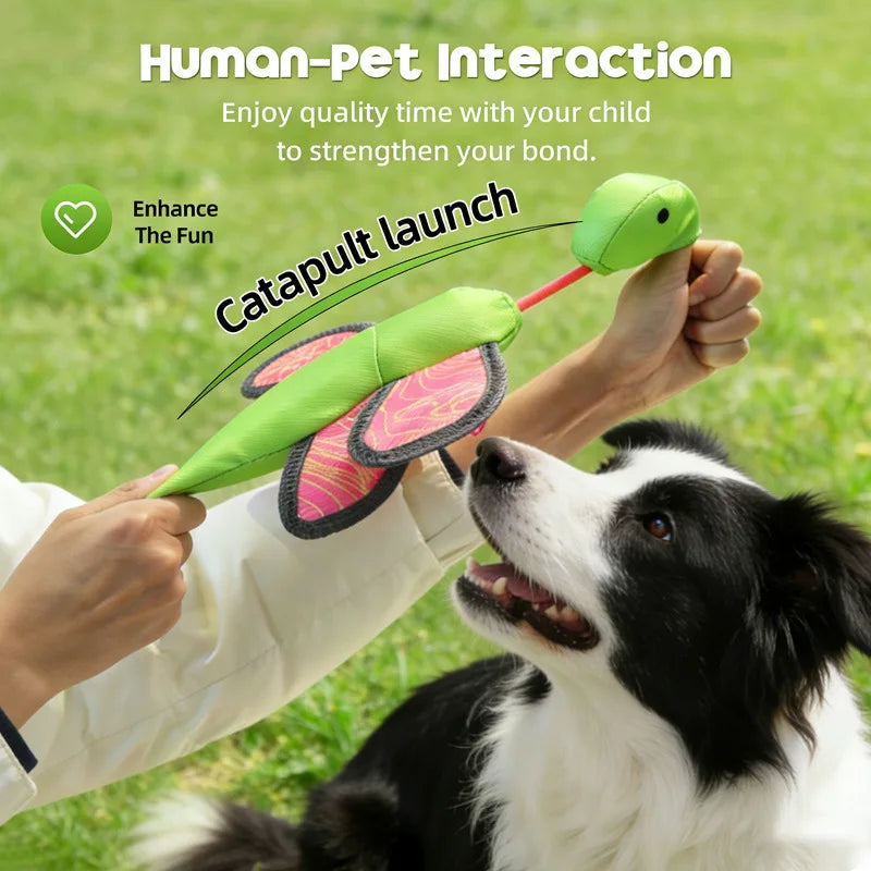Dog Launcher Fly Insect Toy – Crinkle Fetch Ball for Puppies Interactive Dog Toy Peaceful Pleasures Health and Wellness