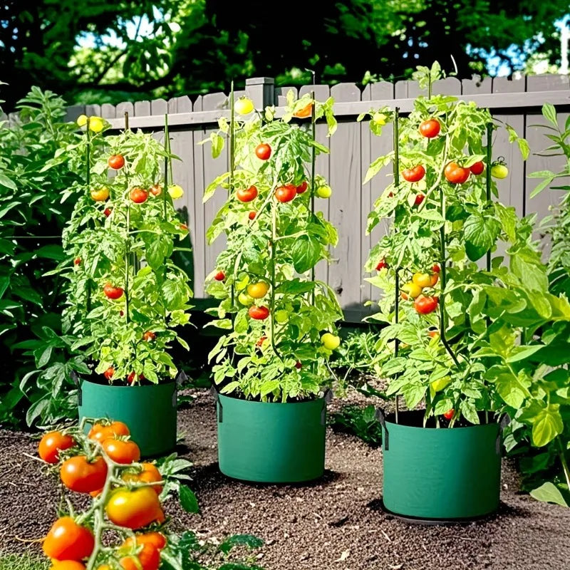 Nonwoven Fabric Grow Bags – Felt Plant Pots with Handles (1–4 Pack)