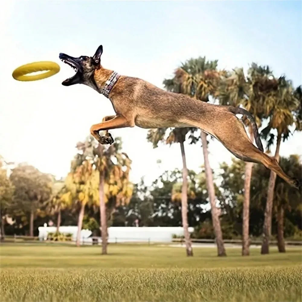 Dog Toys Pet Flying Disk Training Ring Puller Anti-Bite Floating Interactive Supplies Dog Toys Aggressive Chewing Toy dog stuff Peaceful Pleasures Health and Wellness
