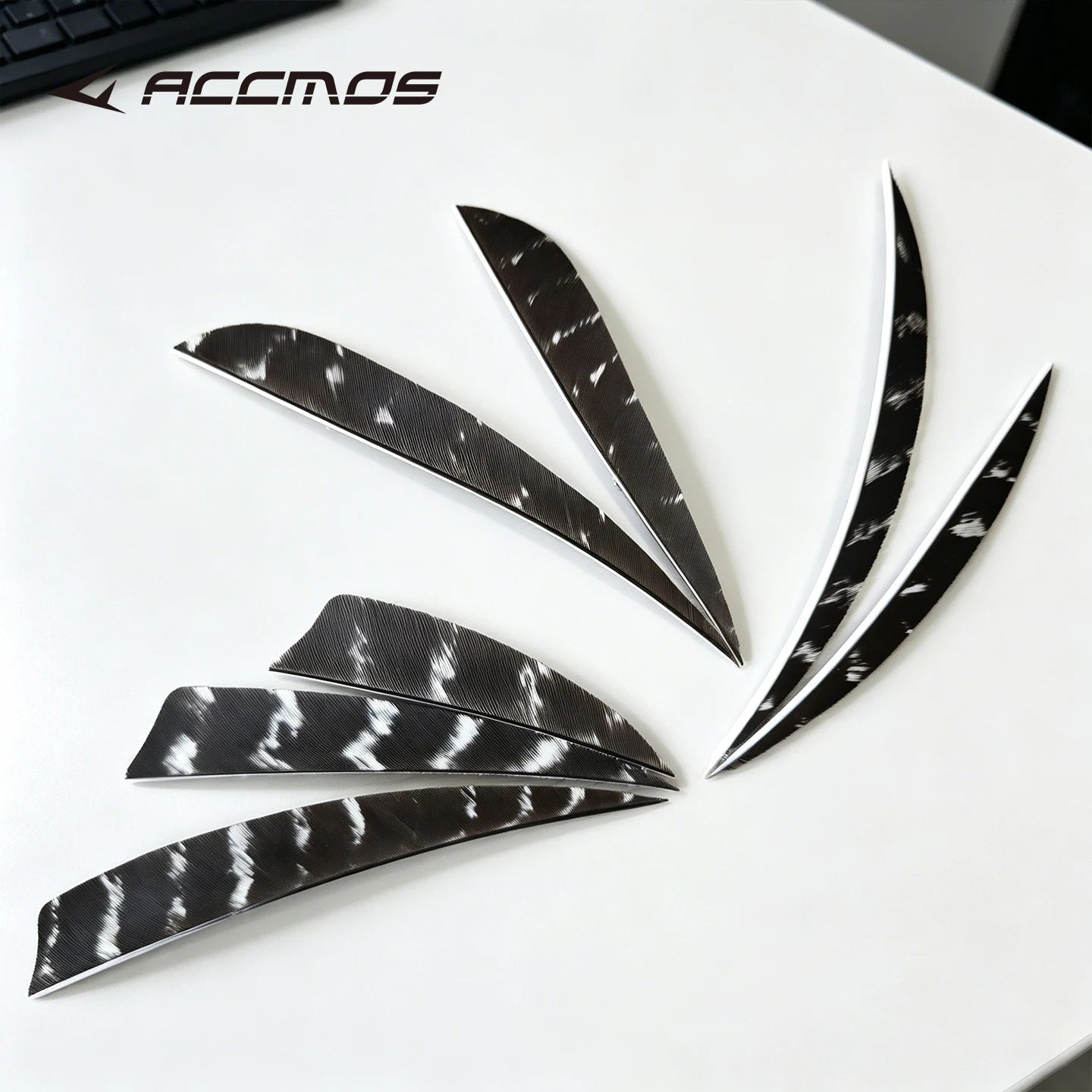 25 RW LW Natural Turkey Archery Arrow Feathers Shield 3 4 Fletching