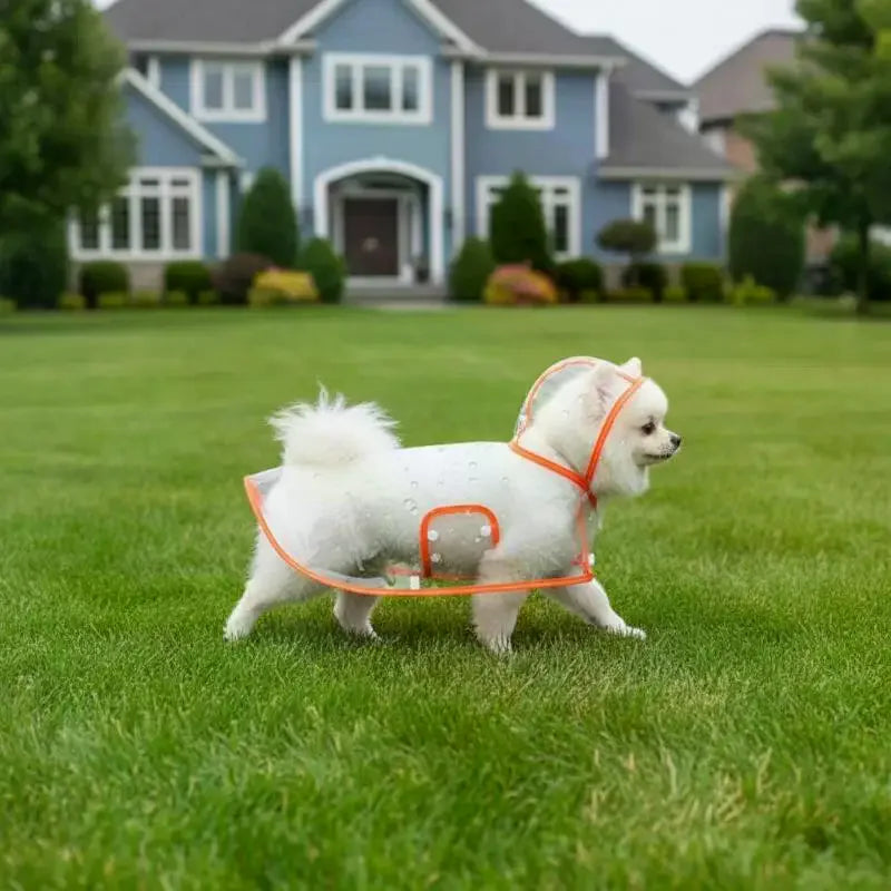 Transparent Waterproof Dog Raincoat XS–4XL | Clear PVC Pet Coat