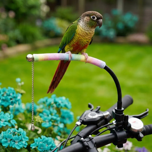 Adjustable Bike Parrot Perch Stand with Anti-Escape Chain 46cm Bird Perch Stand Oasis Select