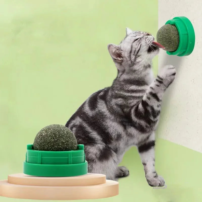 Catnip Wall Stick-On Ball Toy – Natural Cat Grass Treat & Dental Cat Catnip Toy Peaceful Pleasures Health and Wellness