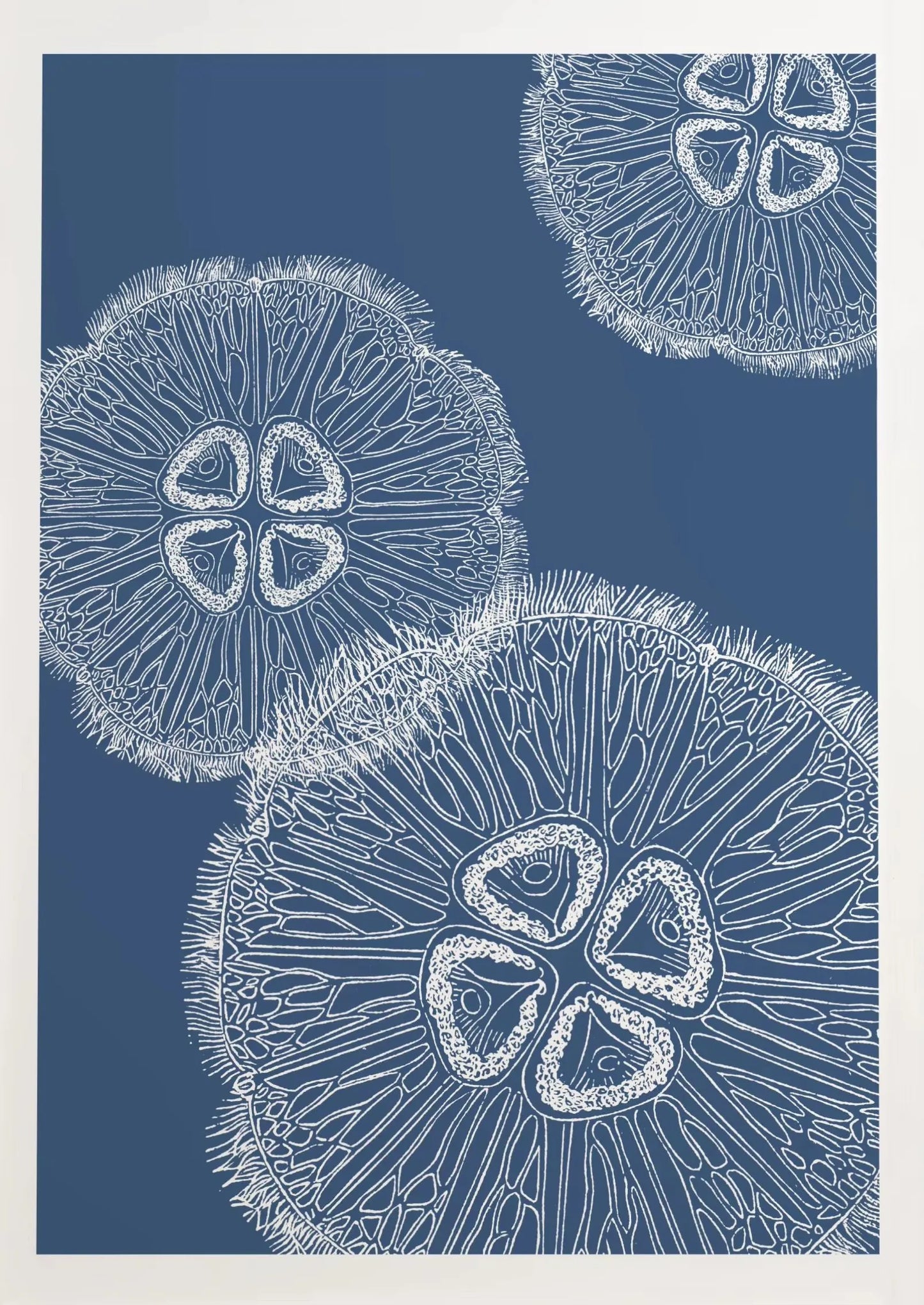 Blue Coastal Seashell Canvas Wall Art | Kids Room Ocean Decor