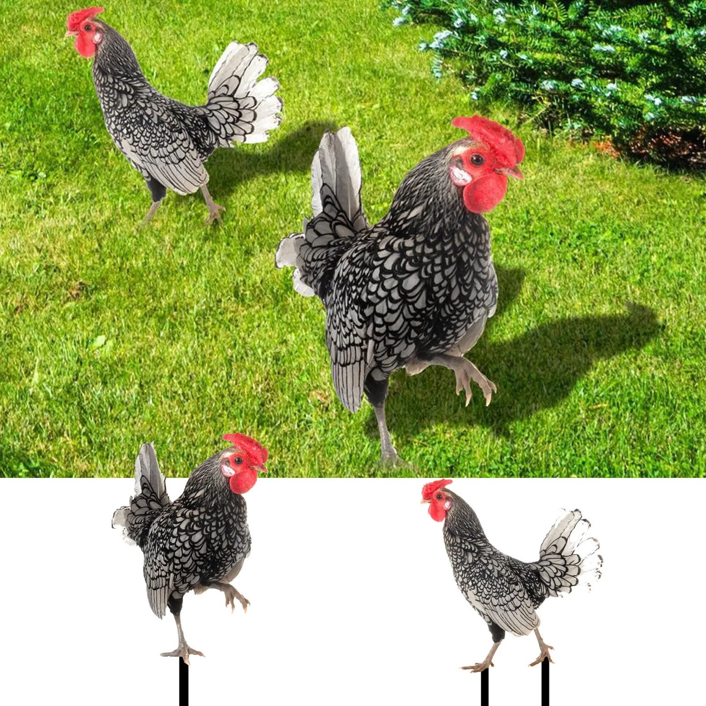 2D Flat Garden Statues Ornaments For Hen Chicken Decorations Sculptures Yard Art Outdoor Decorations Rooster Statue Art Deco Peaceful Pleasures Health and Wellness