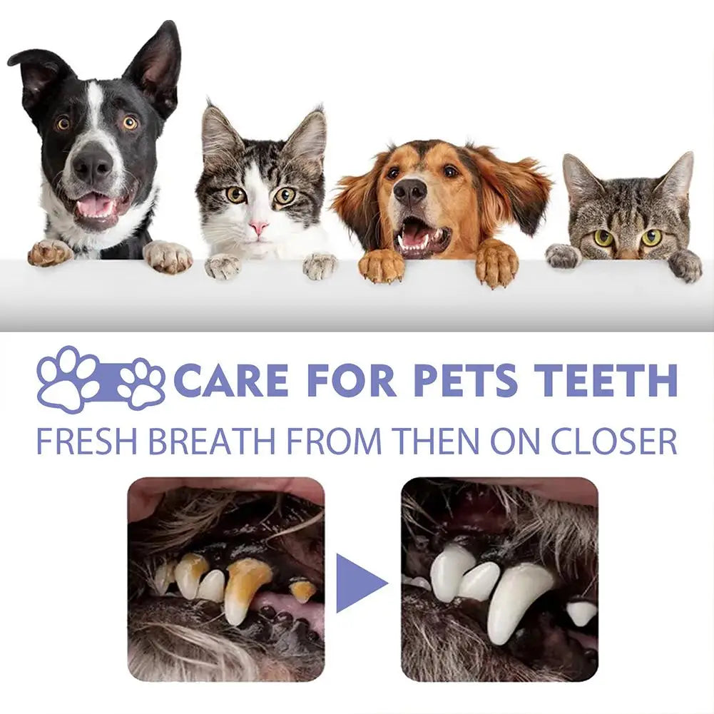 Pet Oral Cleaning Spray – Fresh Breath & Dental Care for Dogs