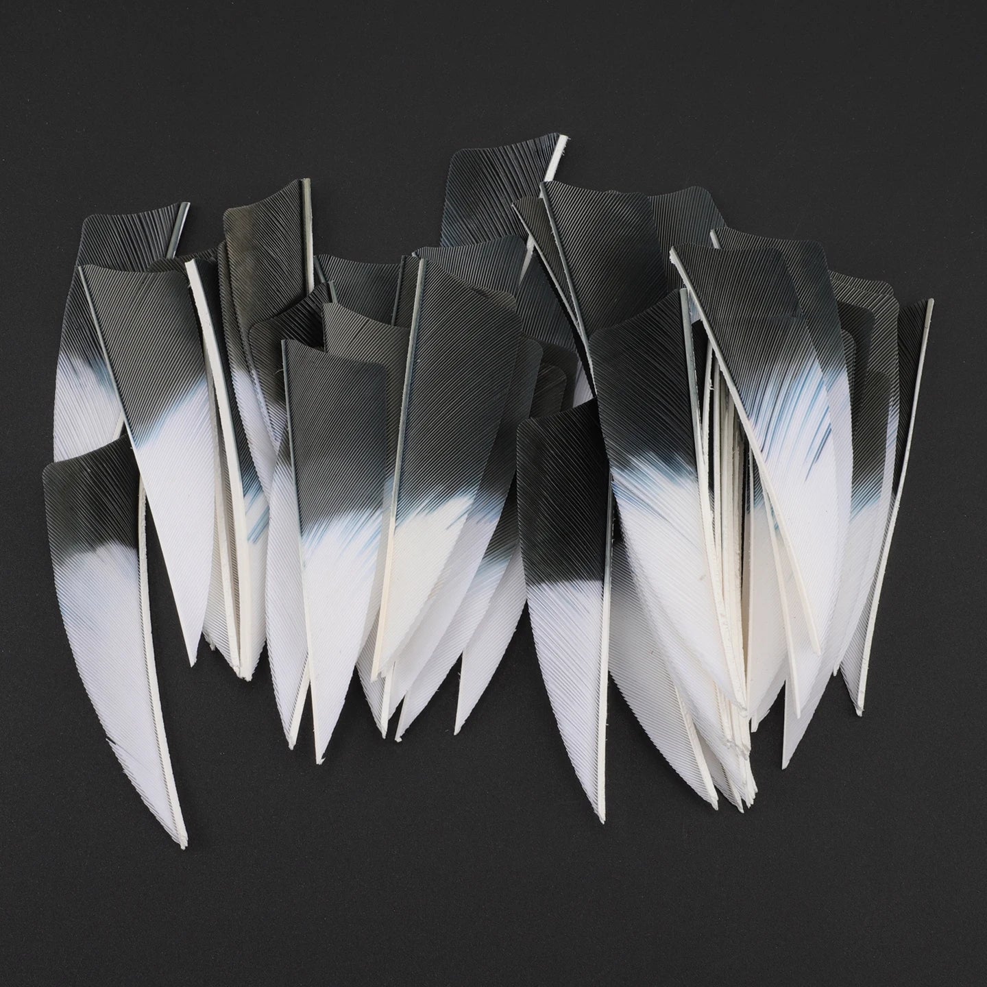 Archery 3 Natural Gradient Shield Turkey Feather Right Wing Arrow