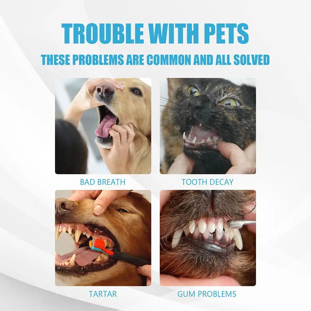 60g Advanced Pet Dental Edible Toothpaste Cats Dogs Improve Oral Hygiene Remove Plaque Tartar Maintain Healthy Gum Pet Oral Care Peaceful Pleasures Health and Wellness