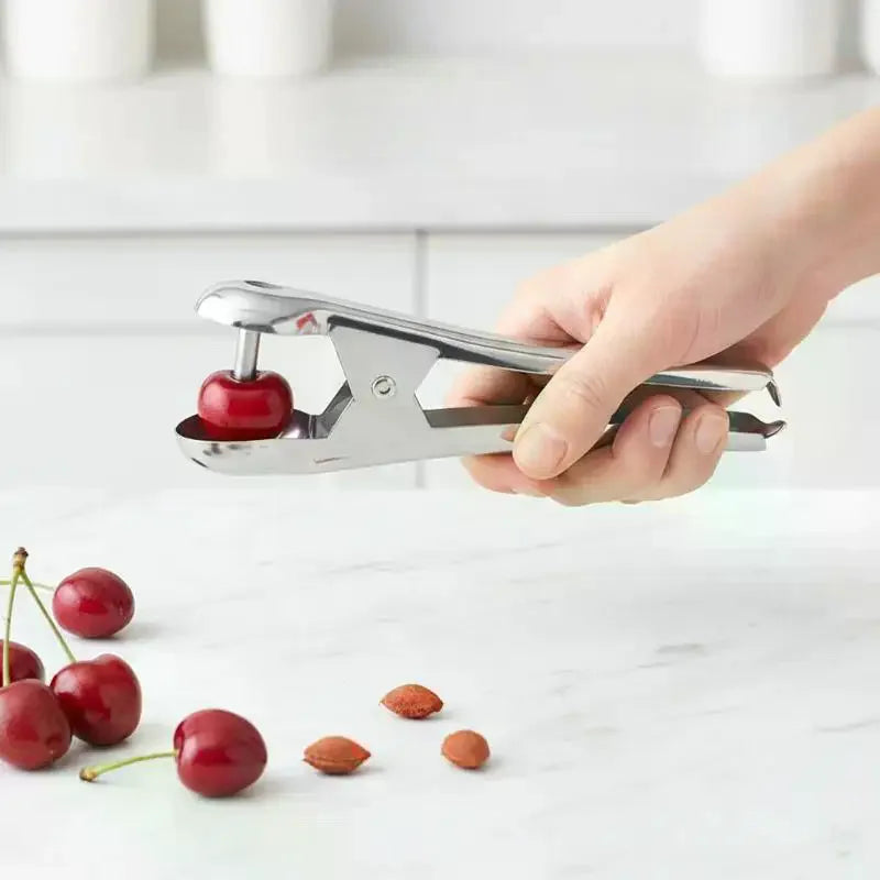 Stainless Steel Cherry & Jujube Corer – Fruit Pit Remover Tool
