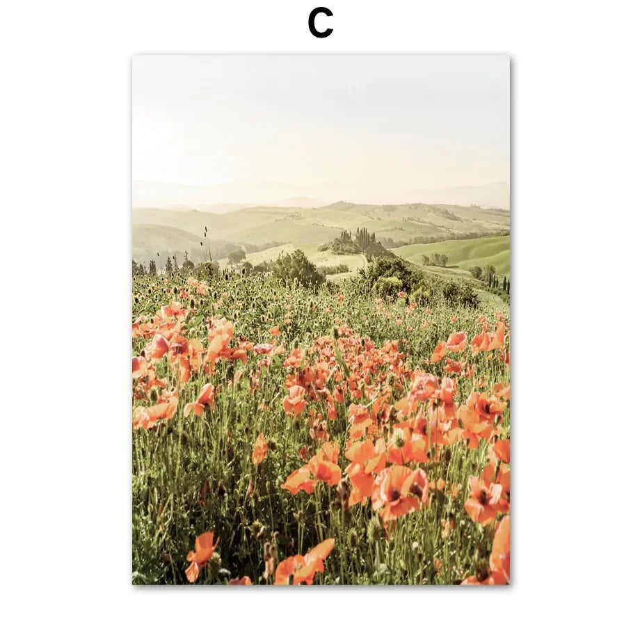 Italy Tuscany Canvas Wall Art | Mediterranean Town Print Poster