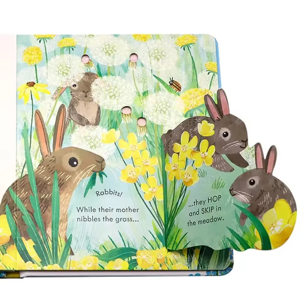 Usborne Peep Inside Springtime 3D Flap Picture Books Kids Bedtime