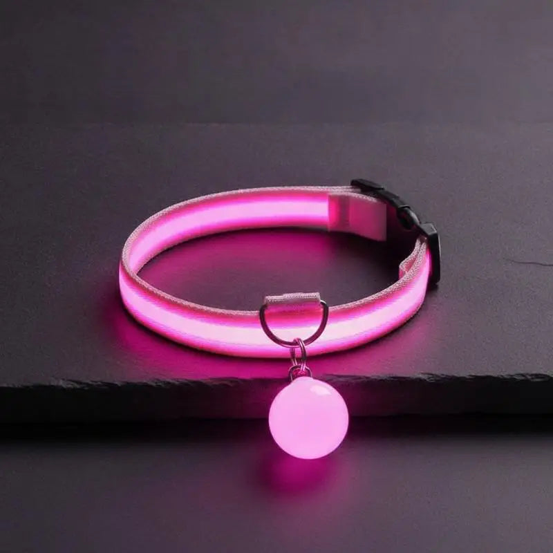 LED Light-Up Dog Collar – Glowing Safety Collar for Night Walks