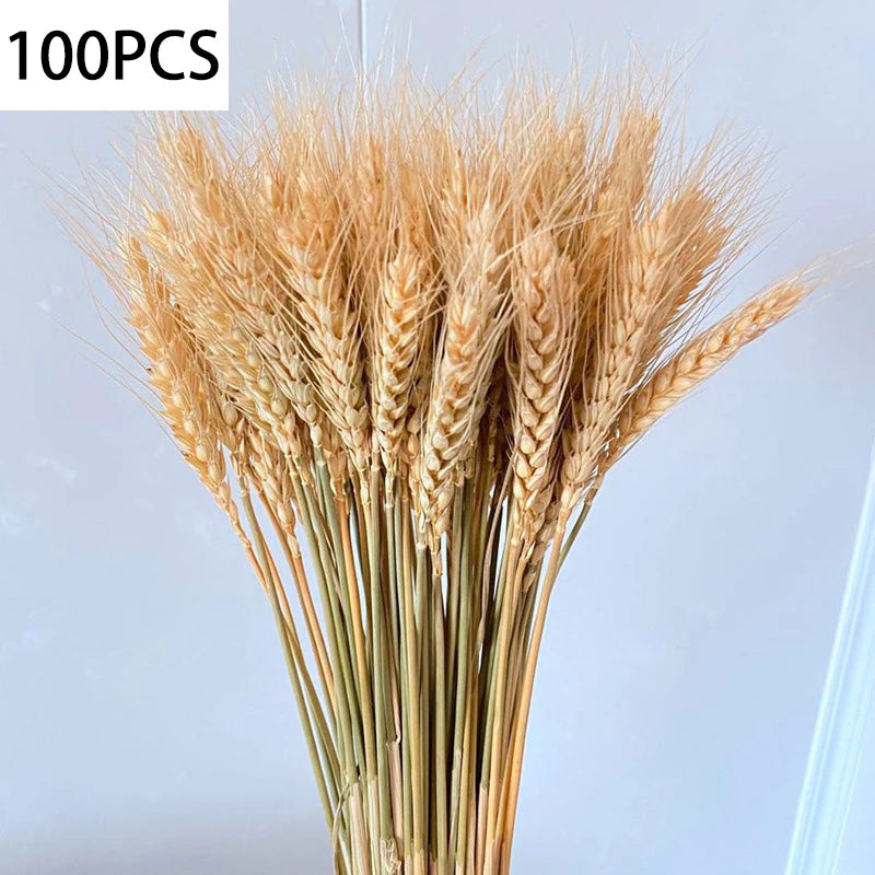 100pcs Dried Wheat Ears Bouquet – Wedding & Home Decor