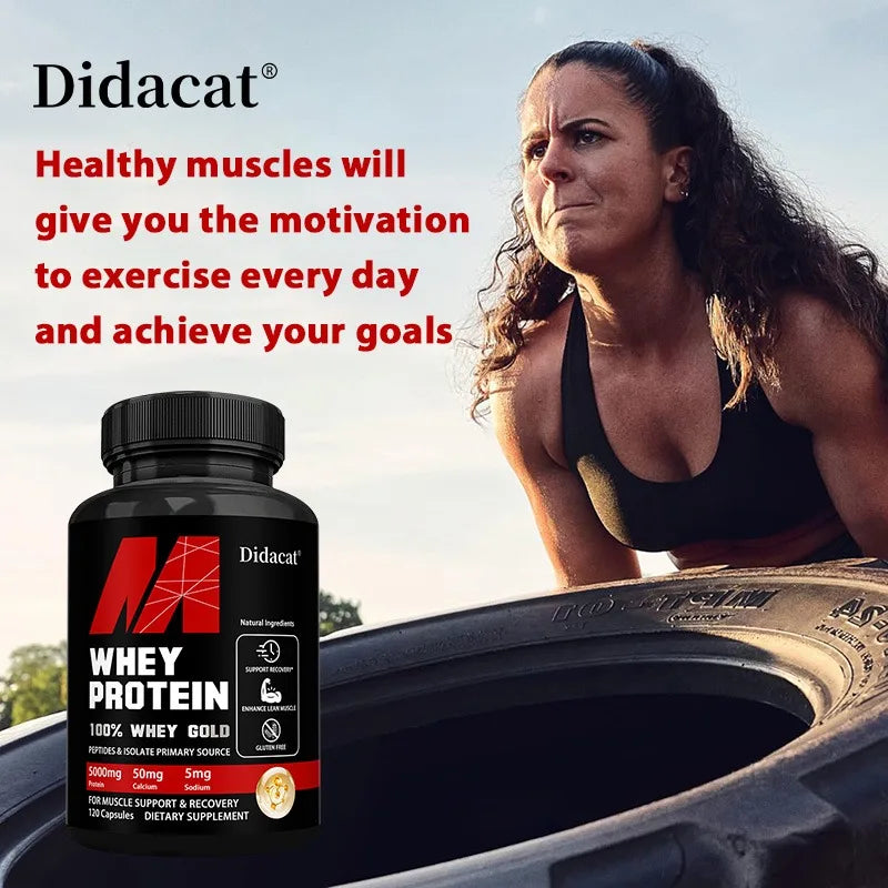 Didacat Whey Protein Concentrate, with 5000mg Protein, Gluten Free & Non-GMO, Boost Immunity and Support Post-exercise Recovery Peaceful Pleasures Health and Wellness