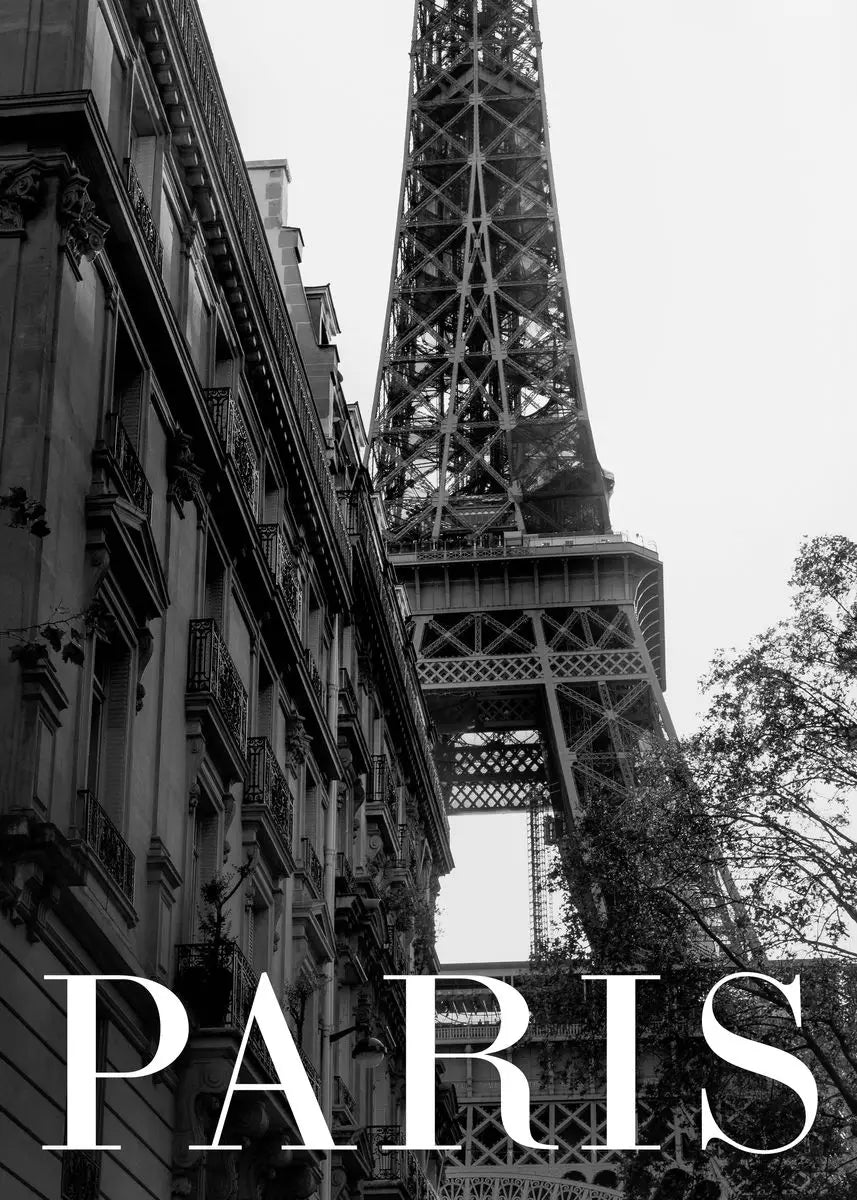 Eiffel Tower Black & White Canvas Wall Art | Paris Print
