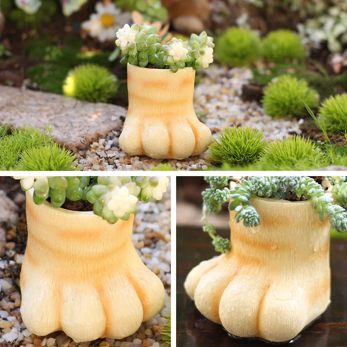 3D Cat Paw Resin Planter | Succulent Pot & Desk Organizer