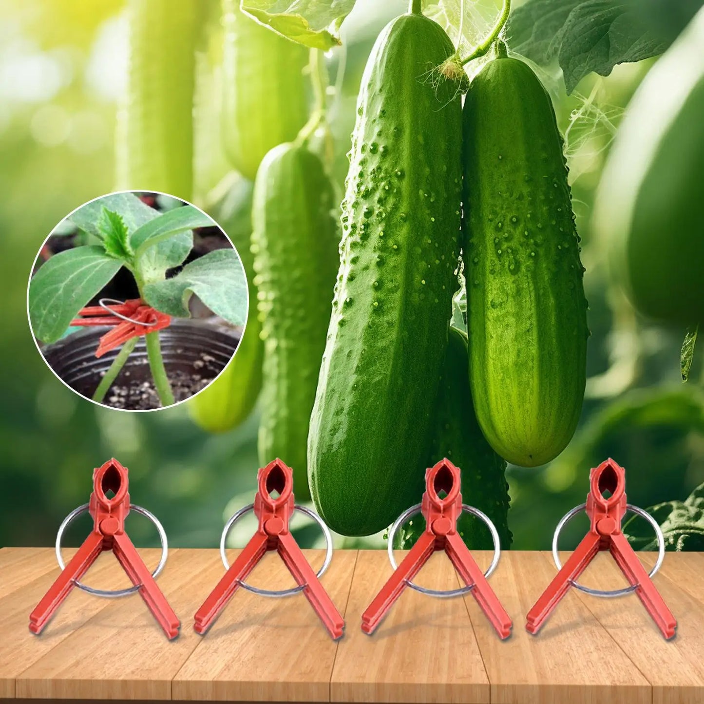 Plant Grafting Clip Plastic Premium Garden Tools Cucumber Eggplant