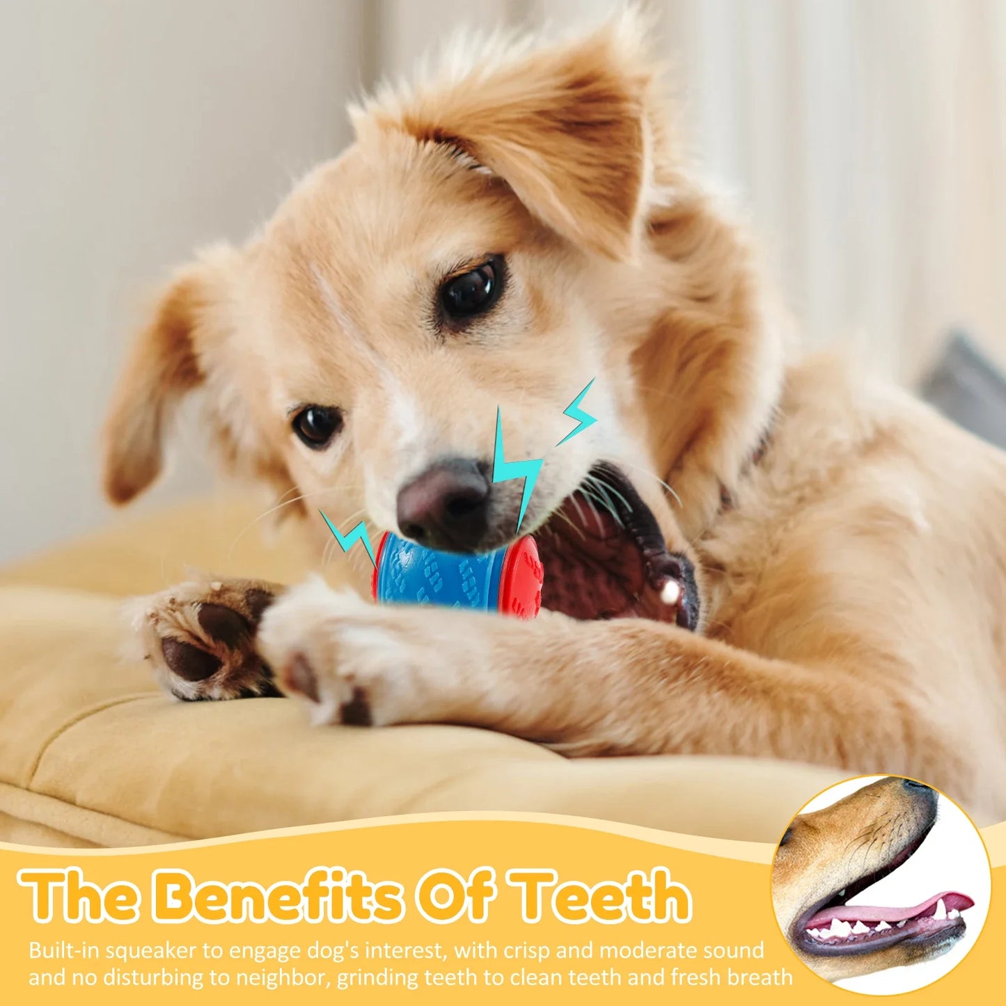 Squeaky Dog Ball Toy – Durable TPR Chew & Fetch Ball
