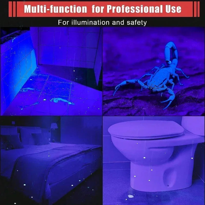395nm UV Flashlight Ultraviolet Torch with Pen Clip | AAA