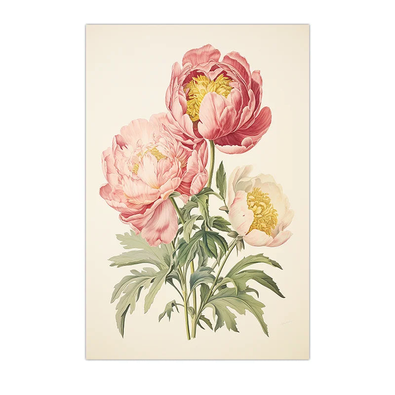 Vintage Botanical Peony Canvas Print | Pink Floral Wall Art Floral Canvas Print Peaceful Pleasures Health and Wellness 04 21X30cm No Frame China Mainland