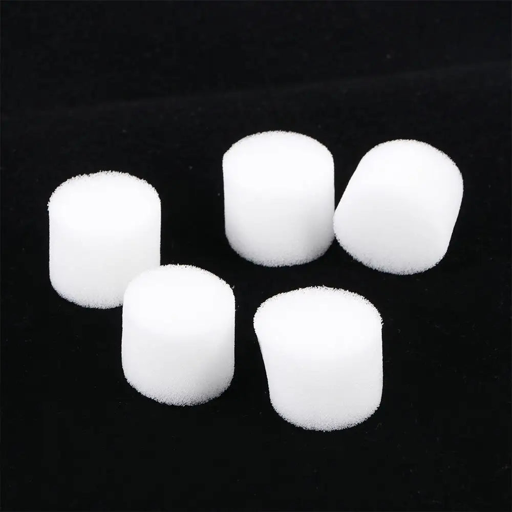 50 Pcs Hydroponic Nursery Sponge Plugs – Soilless Growing Medium