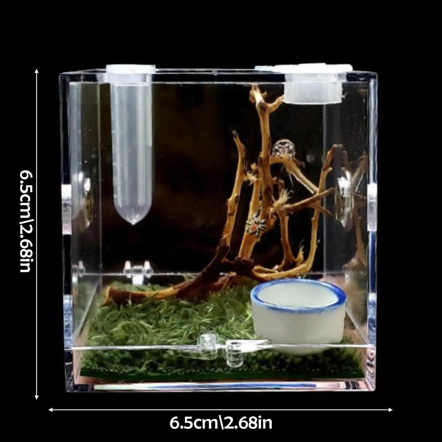 Transparent Spider & Insect Breeding Box | Reptile Habitat