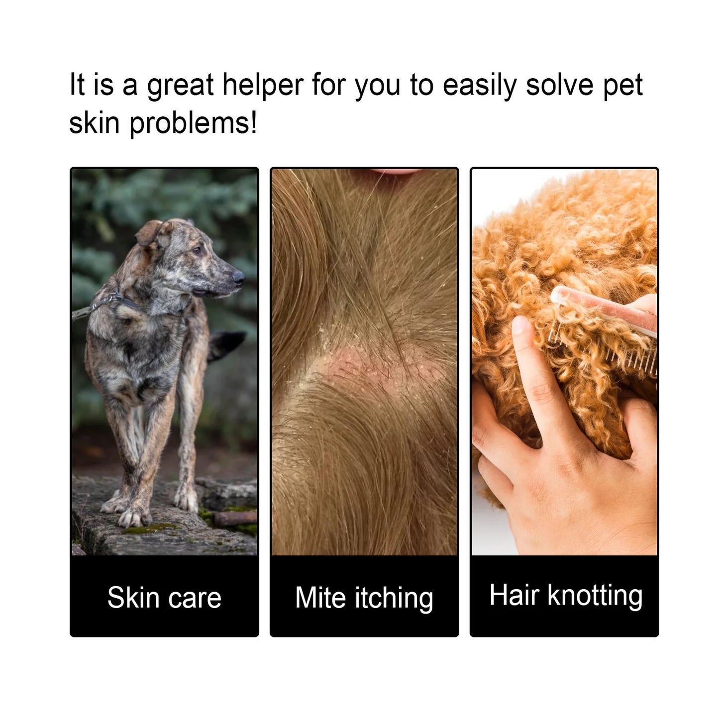 Yegbong Pet Hair Care Essence – Soothe Itching & Shine Coat