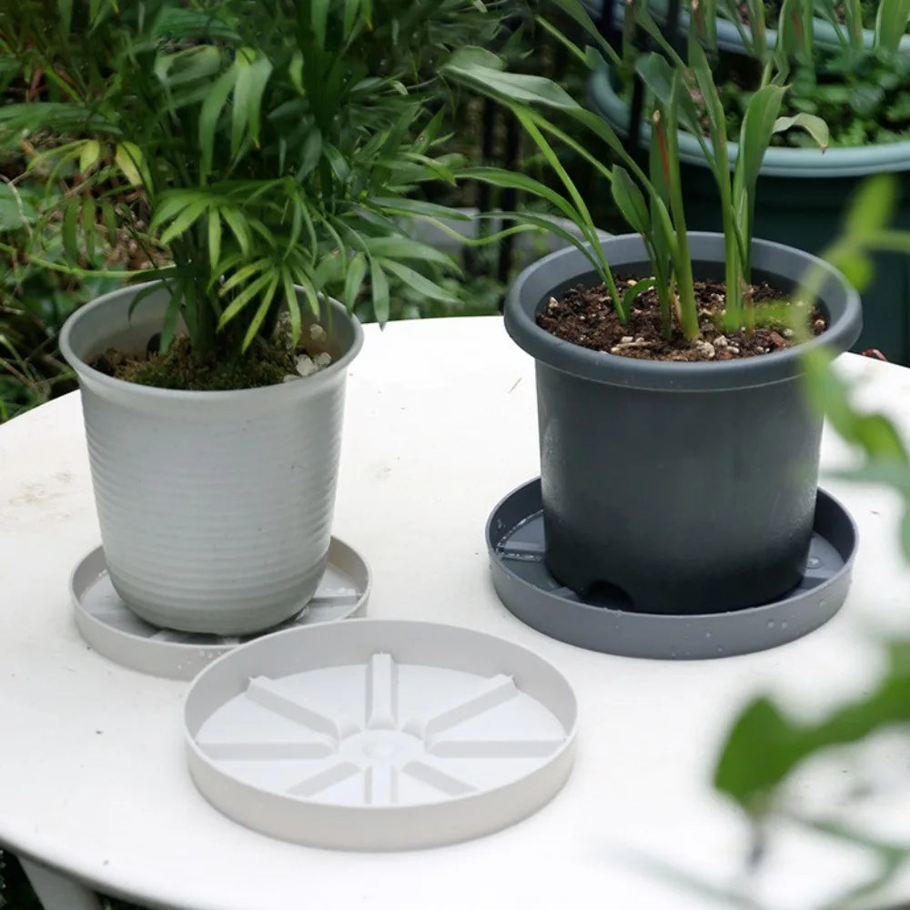 Breathable Plastic Flower Pot Tray | Anti-Rot Plant Saucer