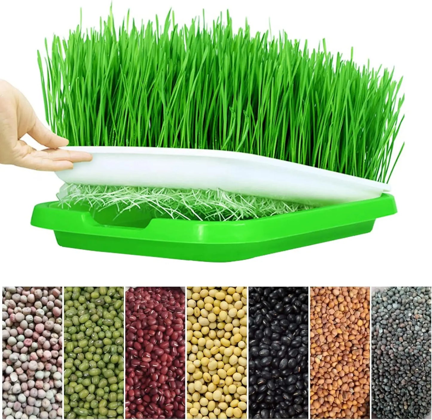 Microgreens Sprouter Tray Hydroponic/Sprouting Tray For Sprout Horticultural Hydroponic Systems Tray Garden Nursery Potted Peaceful Pleasures Health and Wellness