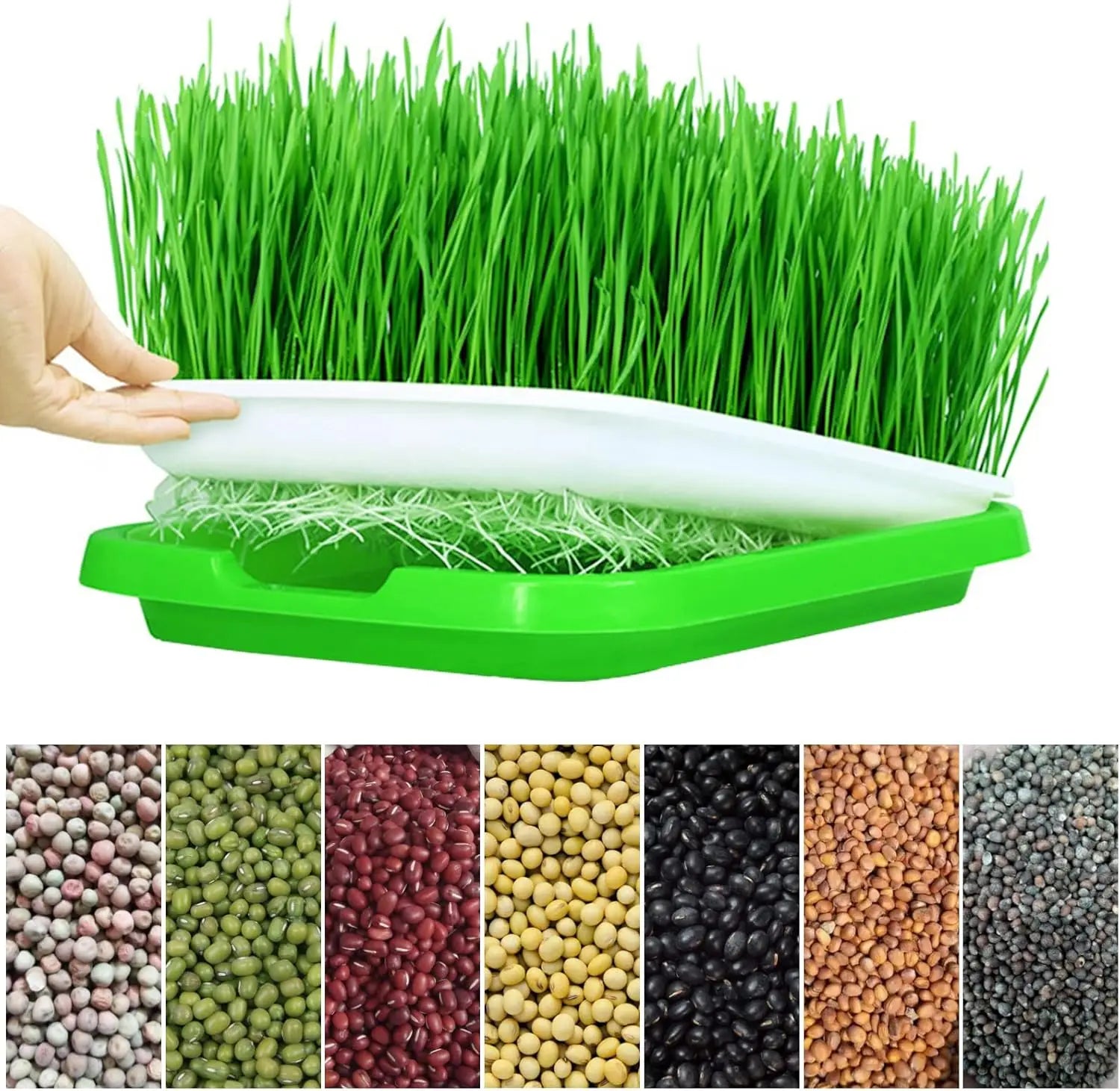 Microgreens Sprouter Tray Hydroponic/Sprouting Tray For Sprout Horticultural Hydroponic Systems Tray Garden Nursery Potted Peaceful Pleasures Health and Wellness