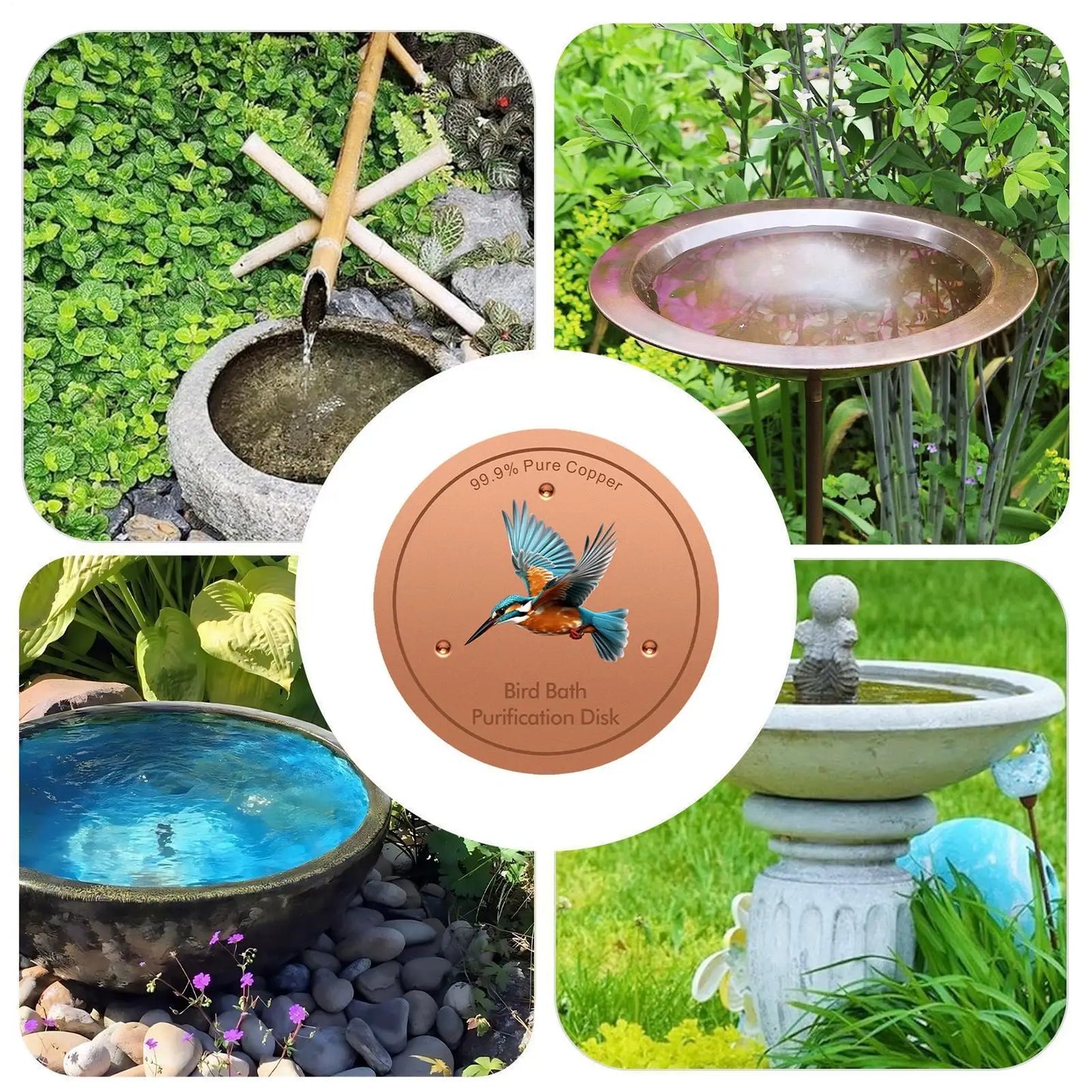 Copper Bird Bath Purification Disc | Triple-Point Support