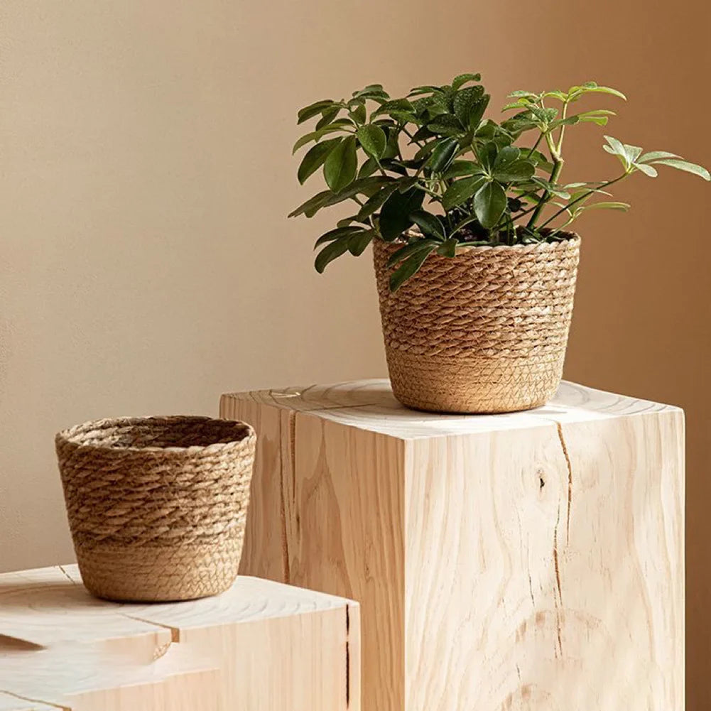 Handwoven Straw Plant Basket with Leak-Proof Liner | 3 Sizes