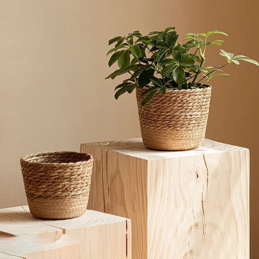 Handwoven Straw Plant Basket with Leak-Proof Liner | 3 Sizes Woven Plant Basket Oasis Select